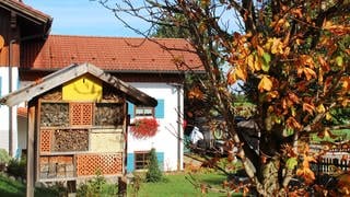 Insektenhotel im Garten