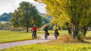 Leute machen im Herbst eine Radtour