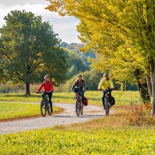 Leute machen im Herbst eine Radtour