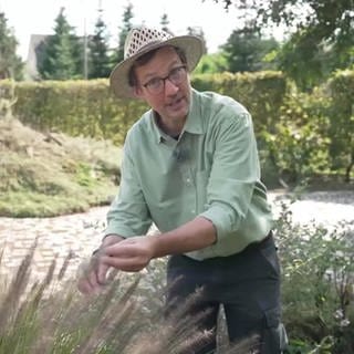 James Foggin in einem Salbeigarten in Umkirch