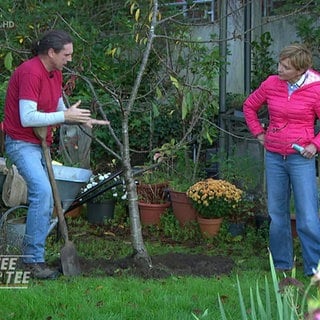 Moderatorin Evelin König mit Baumschulmeister Helmut Tränkle im Garten