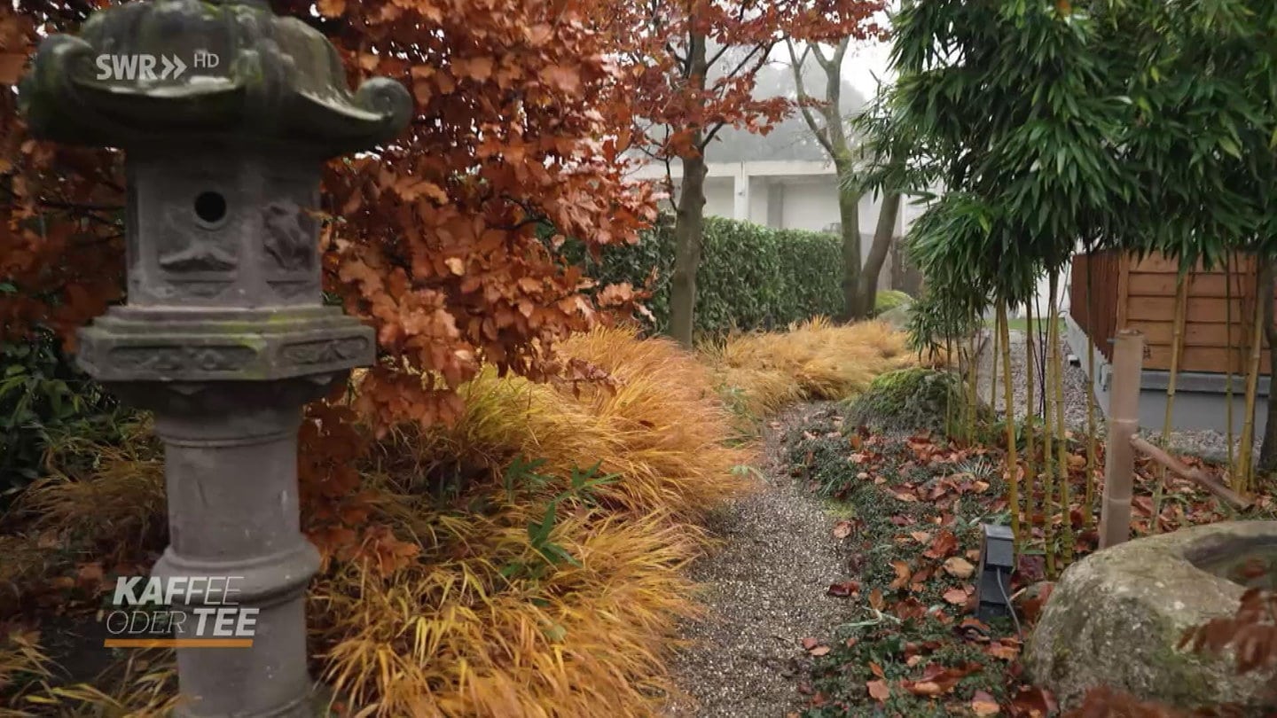 Neuer Japanischer Garten in Bad Krozingen