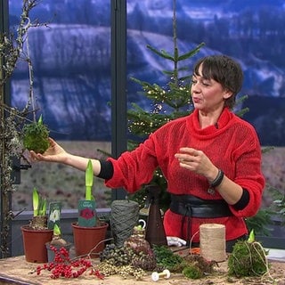 Floristmeisterin Jasmin Centner und Amaryllis