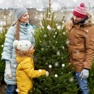 Familie kauft einen Weihnachtsbaum