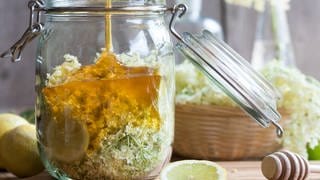 Holunderblüten, Honig und Zitrone in einem Glas