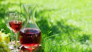Roséwein im Glas auf der Wiese - Getränk mit Rhabarber