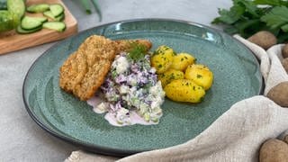 Hirschschnitzel mit Rotkohl-Gurken-Salat