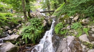 Todtnauer Wasserfall