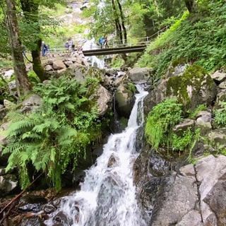 Todtnauer Wasserfall