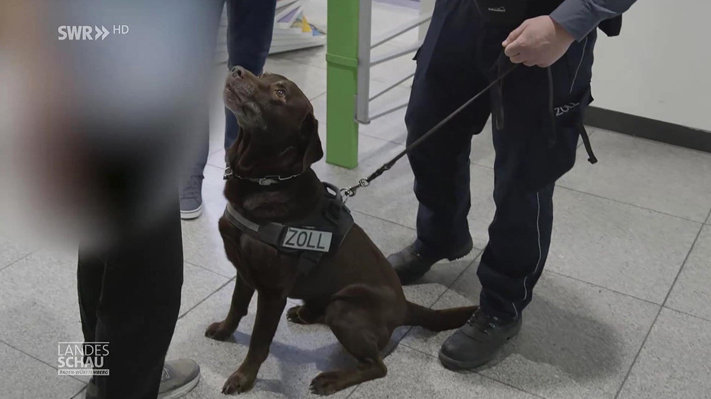 Stopp! Zollkontrolle Am Flughafen - Landesschau Baden-Württemberg - TV