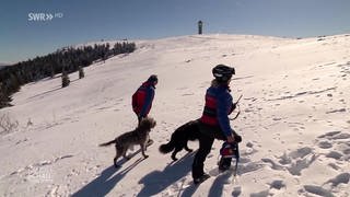 Bergwacht bildet Lawinenhunde aus