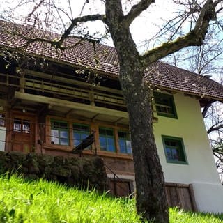 Altes Bauernhaus in Oberprechtal im Schwarzwald 