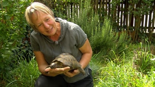 Frau hält eine Schildkröte auf der Hand