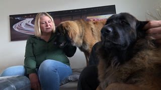Familie Kaisser sitzt mit zwei Leonberger Hunden auf dem Sofa