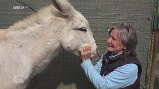 Birgit und ihre störrischen Esel