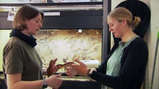 Anne Hämmerle steht mit einer Tierpflegerin bei den Reptililen im Tierheim Pfullingen. Sie berührt eine Schlange.