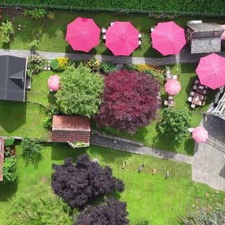 Das Gartencafé mit Sonnenschirmen aus der Luft