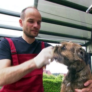 Tobias Haug aus Mössingen ist Hunde-Friseur. Er frisiert einen Terrier.