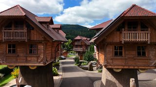 Baumhaus-Dorf – in Seelbach im Schwarzwald