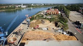 Hafen in Breisach mit Blick auf den Rhein