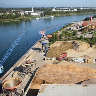 Hafen in Breisach mit Blick auf den Rhein