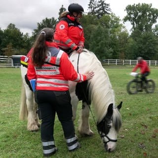 Elke Schneider trägt eine Sanitätsjacke und sitzt auf ihrem Pferd Nemo. 