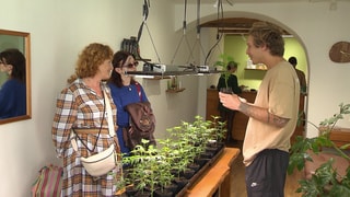 Mann steht mit zwei Frauen in einem Cannabis-Laden und erklärt ihnen die Wirkung von Cannabis-Produkten.