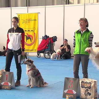 Siegerehrung beim Dog Dancing