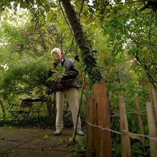 Ein Mann steht in seinem wild wuchernden Garten