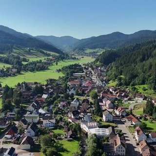 Gutach im im Schwarzwald von Oben