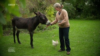 Andrea Tellmann füttert einen Esel in ihrem Garten