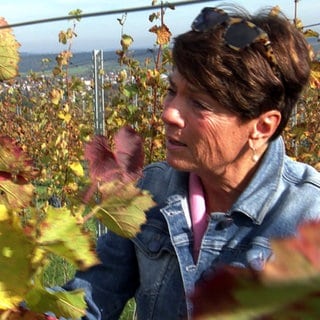 Sonja Faber-Schrecklein steht zwischen bunt gefärbten Reben in einem Weinberg in Großvillar.