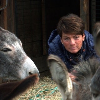 Sonja Faber-Schrecklein schaut nach den Eseln auf dem Gnadenhof in Großvillars