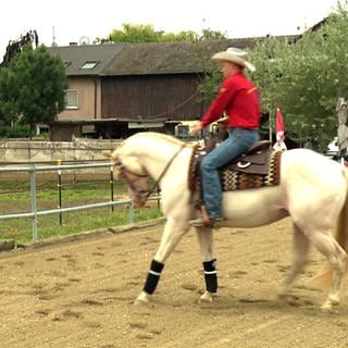 Ein Pferd und sein Cowboy