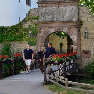 Jens Hübschen (r.) und Frank Brunswig (l.) auf ihrer Landgenuss-Tour in der Eifel auf Burg Rittersdorf.