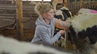 Mareike Engel besamt auf dem Engelshof in der Eifel eine Kuh.