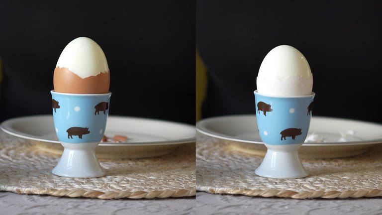 Wird das braune Ei durch das weiße verdrängt?