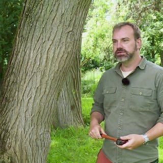 Joris Kubischta kümmert sich als Baumgutachter um die Bäume in Ludwigshafen.