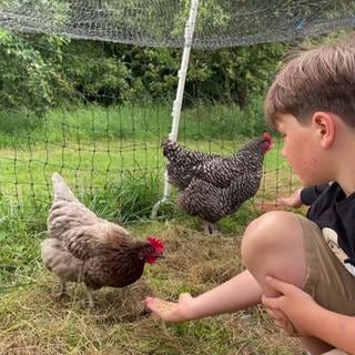 Kinder füttern Hühner in einem Gehege