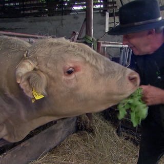 "Wir sind eine Einheit", sagt Bauer Hans-Willi Planz über sich und seine Rinder