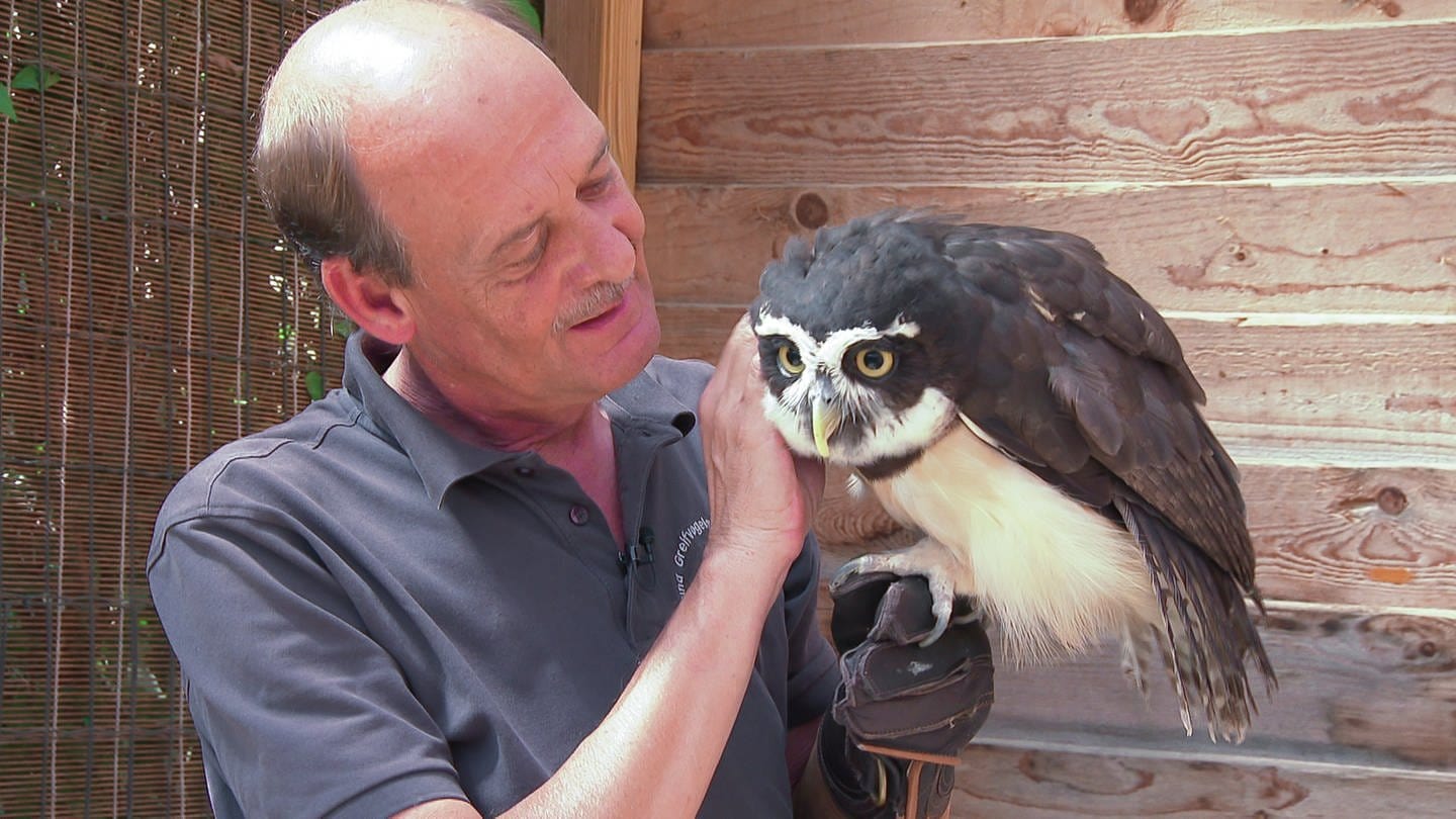 Oliver Schmidt betreibt zusammen mit seiner Partnerin eine Wildvogelauffangstation in Appenheim