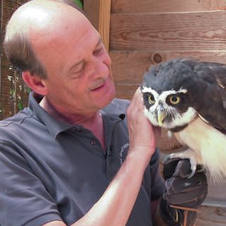 Oliver Schmidt betreibt zusammen mit seiner Partnerin eine Wildvogelauffangstation in Appenheim