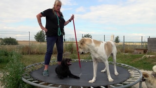 Tierheimleiterin Kirstin Höfer ist mit Neuzugang Mischlingshund Jenny und dem Rüden Sam auf dem Trampolin.
