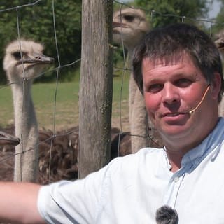 Zu Besuch auf der Straußenfarm in Remagen