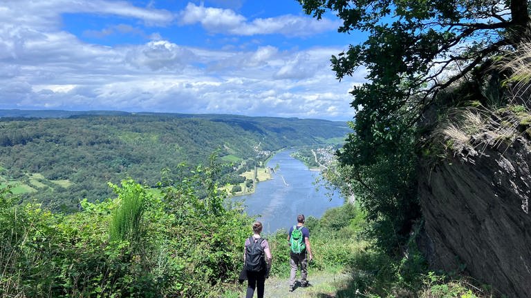 Moselsteig Etappe 13: Abstieg nach Enkirch mit Moselblick.