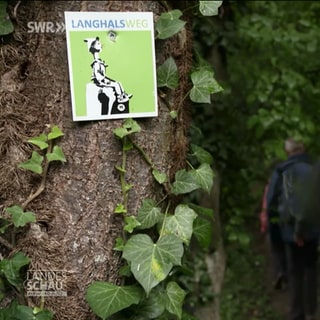 Schild an Baum auf dem 'Langhalsweg' steht