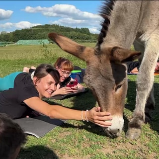 Menschen machen Yoga mit Eseln