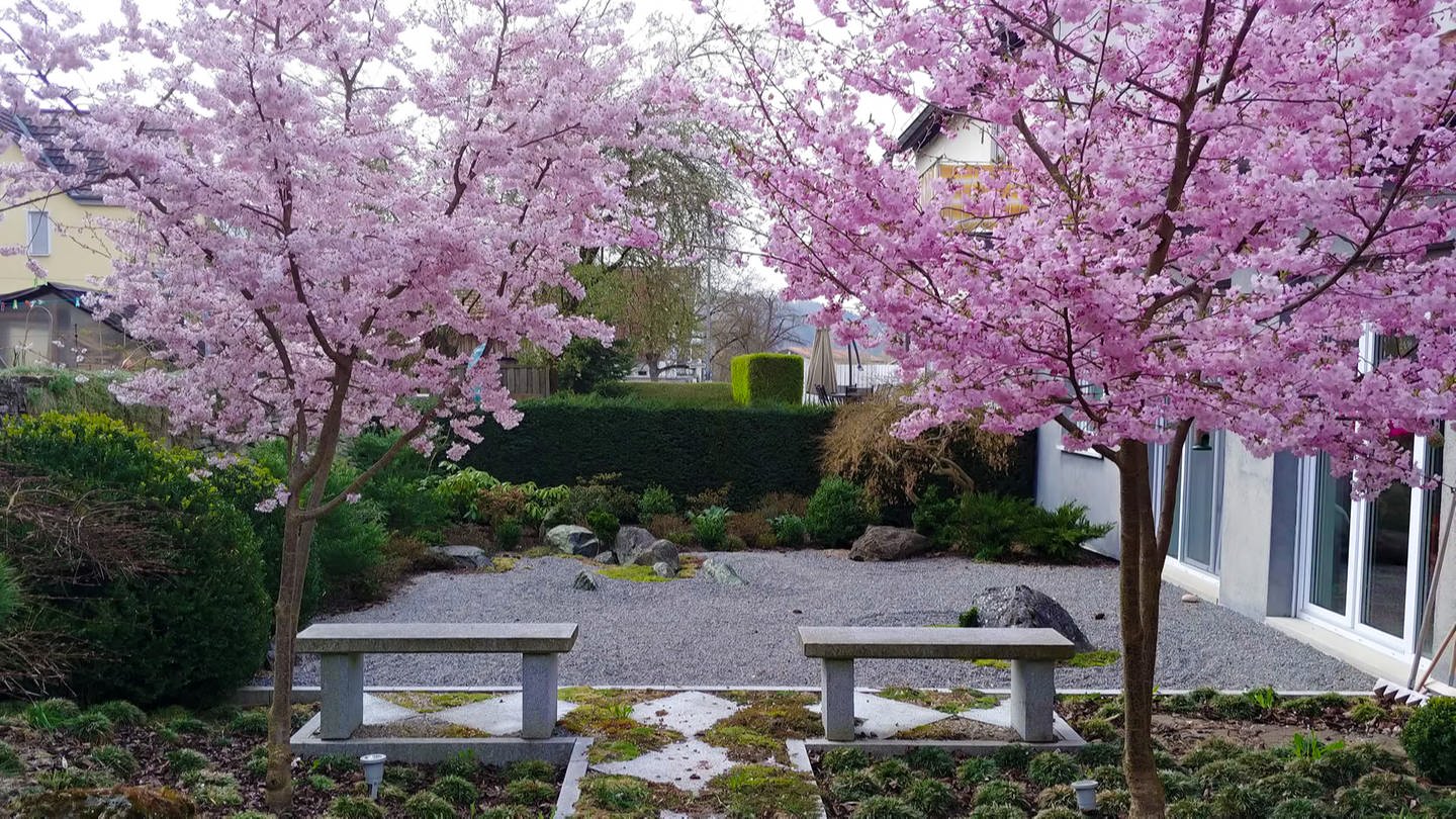 Im Japan-Garten von Markus Unterberger