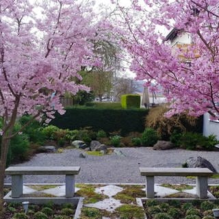 Im Japan-Garten von Markus Unterberger