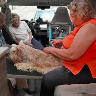 Marlies Staudte (r.) frisiert und trimmt Scottish Terrier in ihrem moblien Salon